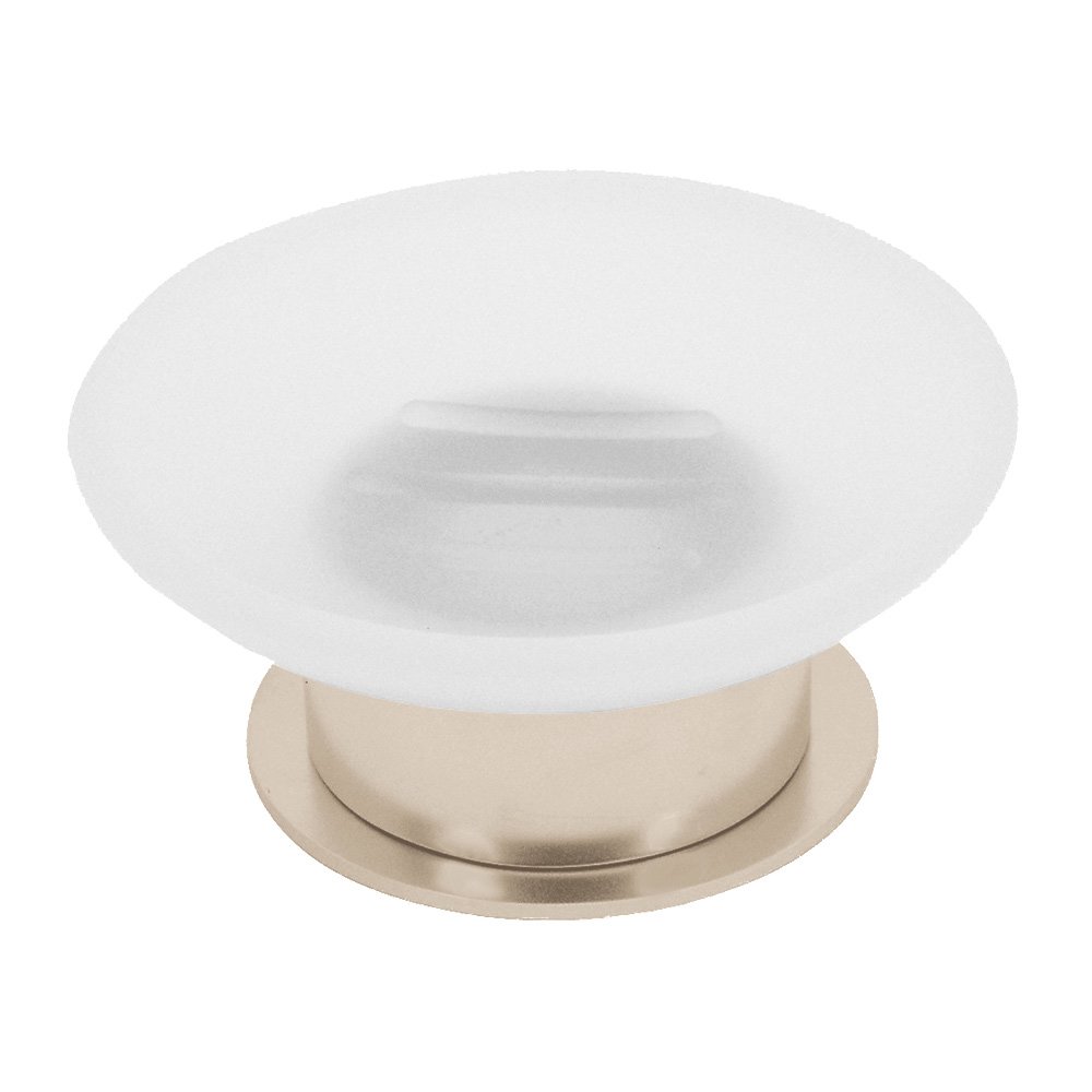 Frosted Soap Dish Holder in Satin Nickel